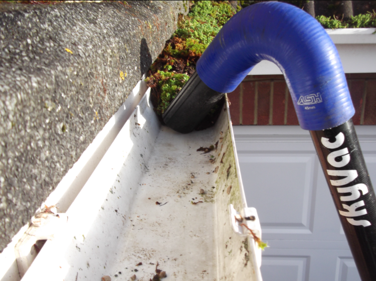 Gutter Cleaning