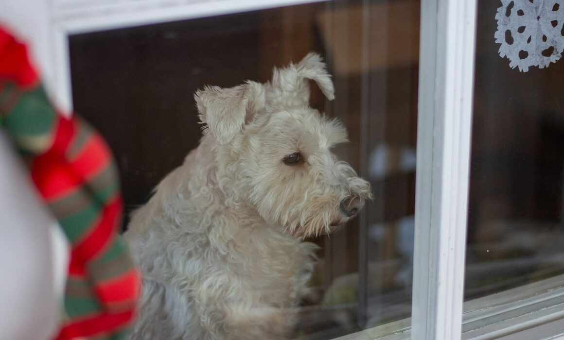 Start the New Year with a Clear View