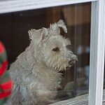 Start the New Year with a Clear View